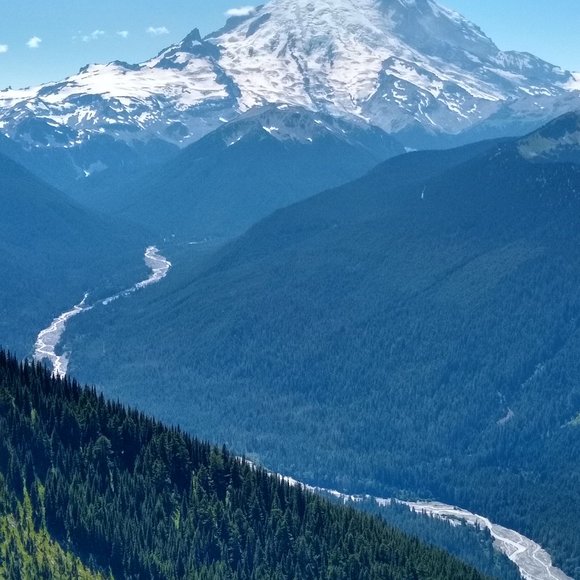 Closet Closing Announcement - Picture 4 of 13